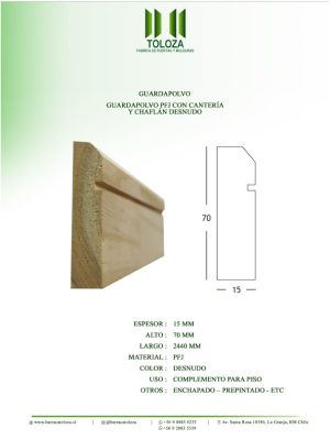 GUARDAPOLVO PFJ CON CANTERÍA Y CHAFLÁN DESNUDO