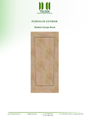 PUERTA MODELO EUROPA RECTA
