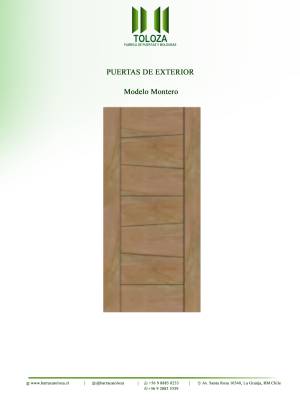PUERTA MODELO MONTERO