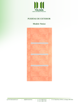 PUERTA MODELO VENICE