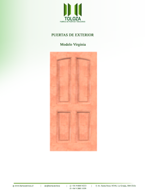 PUERTA MODELO VIRGINIA